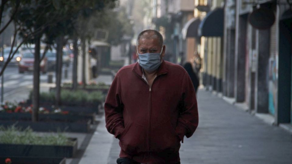 Autoridades capitalinas le piden extremar precauciones ante la posibilidad de caída de árboles. Foto: Archivo/ CUARTOSCURO