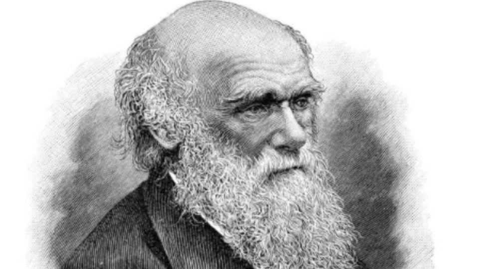 El 'abominable misterio' que atormentó por años a Darwin. Foto: iStock