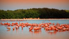 ¿Cuál es el origen del nombre de Yucatán, paradisiaco estado del Caribe mexicano?