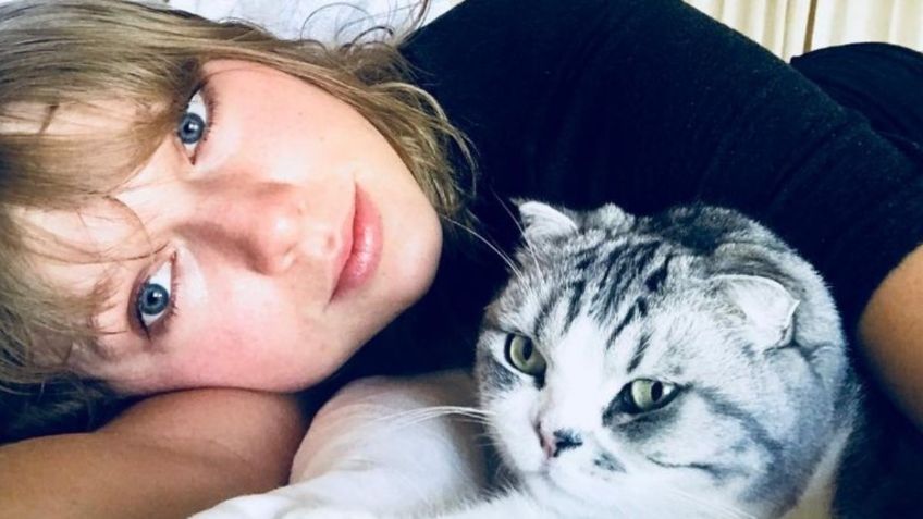 Taylor Swift revela la razón de su gran obsesión por los gatos