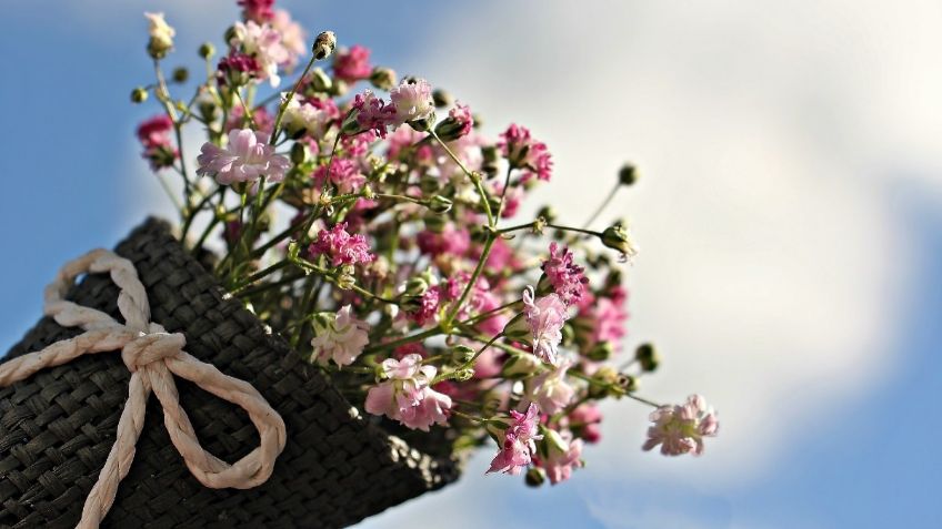 Garantizada producción y abasto de flores para el 14 de febrero: Sader