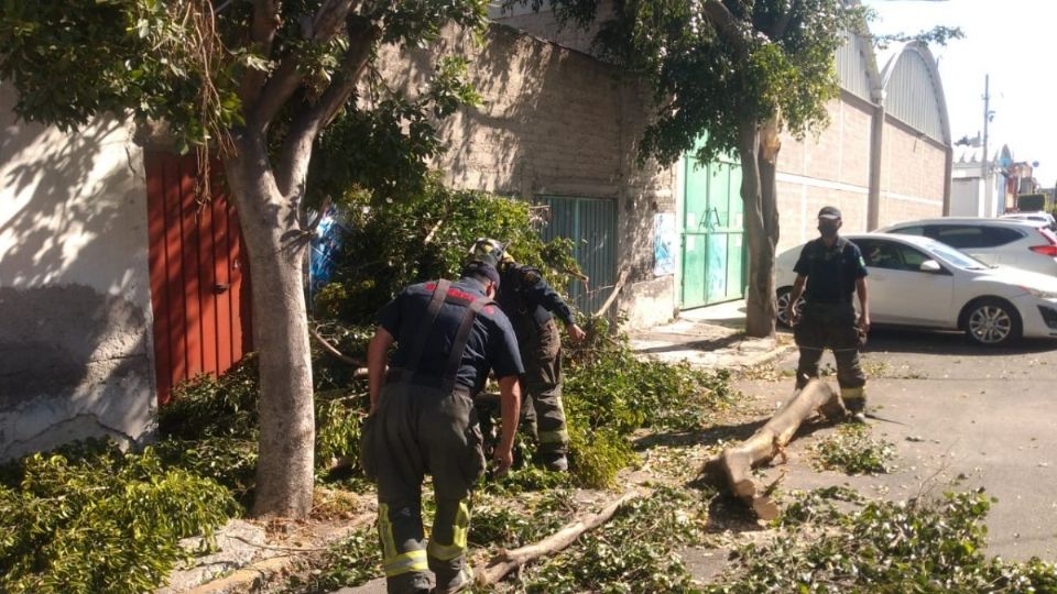 Recuerda que durante la activación de las alerta naranja y amarilla por vientos, debes seguir estas recomendaciones. Foto: Twitter