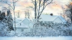 ¡Sobrevive la TORMENTA de NIEVE! Sigue estos TIPS para no morir congelado y proteger tu CASA