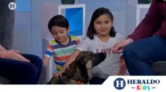 Niños y perros: CLAVES para tener una buena convivencia; VIDEO