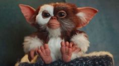 ¡Gizmo de “Los Gremlins” vuelve! Se reencuentra con Billy luego de 31 años: VIDEO