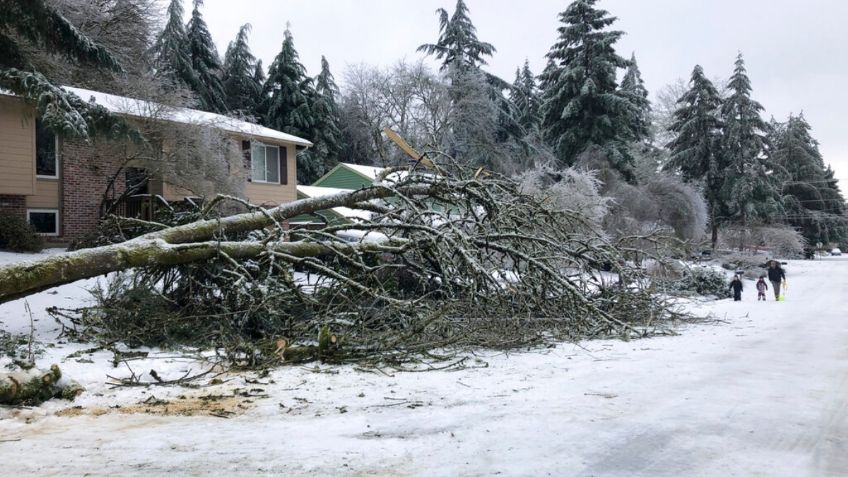 VORAZ Tormenta de NIEVE prende las ALERTAS y autoridades piden REFUGIARSE; ya hay 11 MUERTOS