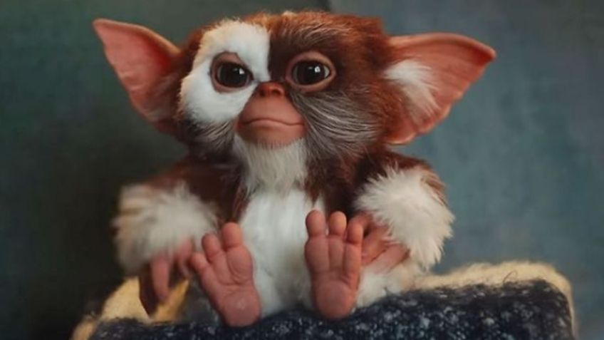 ¡Gizmo de “Los Gremlins” vuelve! Se reencuentra con Billy luego de 31 años: VIDEO