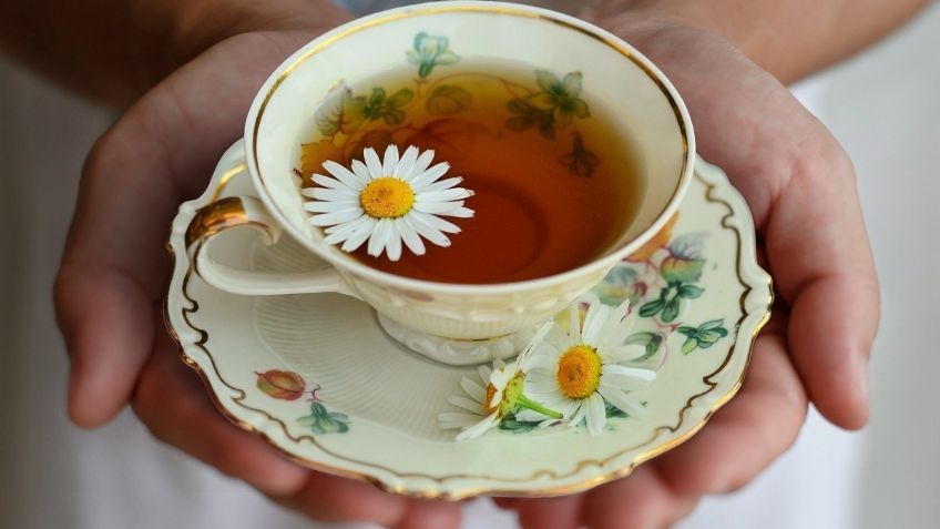 ¿Te duele el ESTÓMAGO o tienes CÓLICOS? Estos son los BENEFICIOS del té de Manzanilla