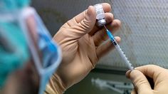 ¡En alerta! Nueva cepa de coronavirus es detectada en Reino Unido y nueve países más