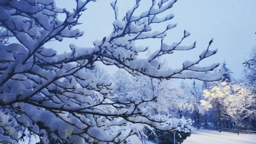 ¡2021 rompe récord! Se presentan las TORMENTAS INVERNALES más intensas en la HISTORIA