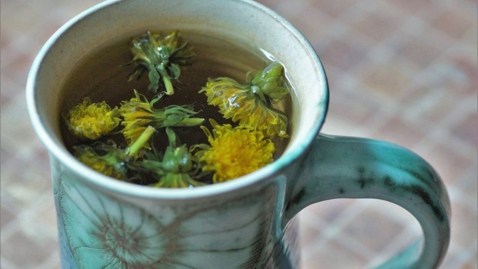 Té de diente de león. Foto: Pixabay