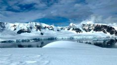 Descubren extrañas criaturas a 900 metros bajo el hielo de la Antártida