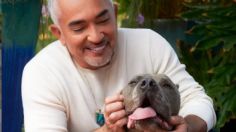 César Millán: la increíble foto junto a perros de la que todos hablan