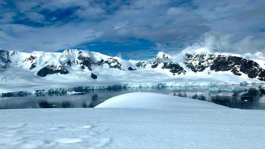 Descubren extrañas criaturas a 900 metros bajo el hielo de la Antártida