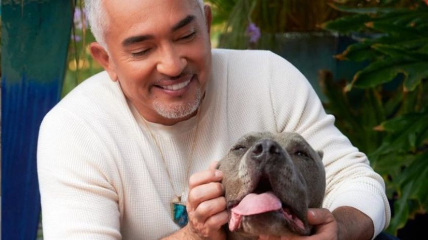 César Millán: la increíble foto junto a perros de la que todos hablan