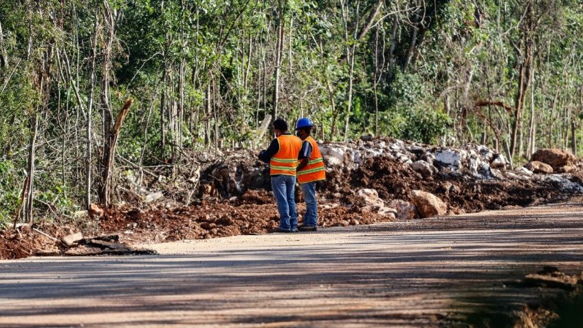 Juzgado dicta otras tres suspensiones en contra del Tren Maya en Yucatán