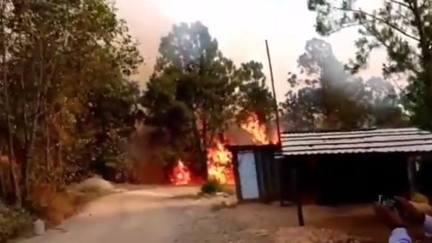 Incendio se sale de control en Oaxaca: VIDEO