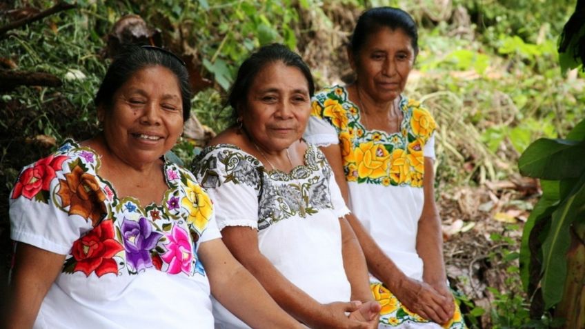 Estas son las palabras que el ESPAÑOL heredó de la LENGUA MAYA y utilizamos de manera común