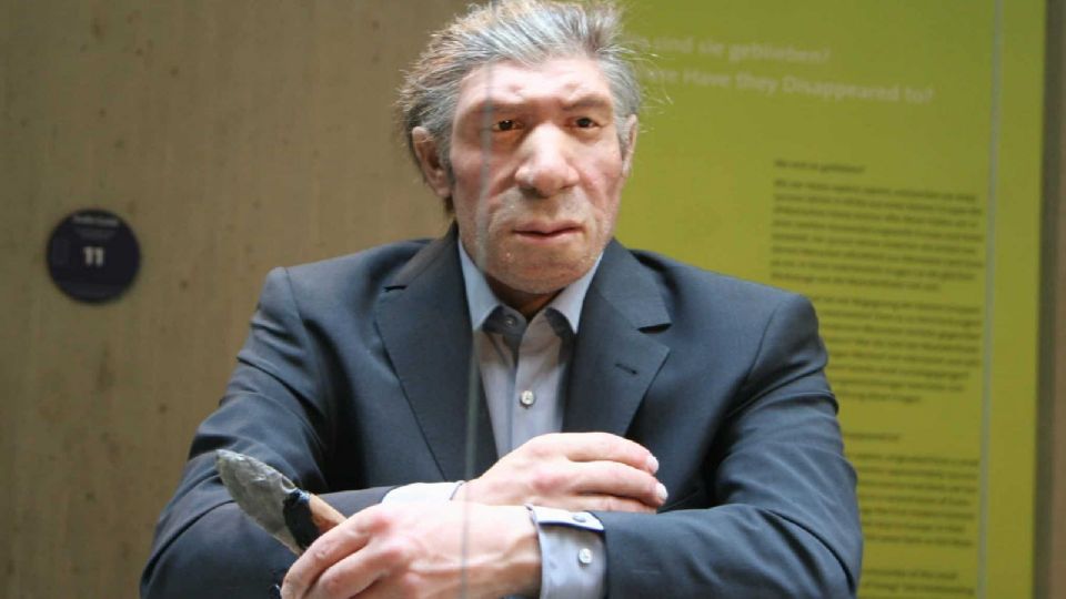 Científicos relacionaron los genes Neandertales con una ventaja contra Covid-19 
FOTO: Twitter