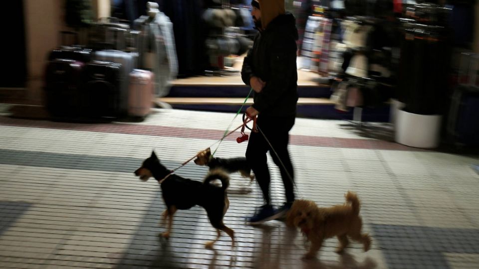 Elige bien y piensa con responsabilidad cuando tomes esta decisión. Foto: Reuters