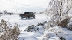 México registra seis nuevas muertes por tormenta invernal; son 20 decesos en total