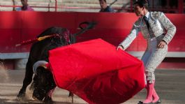 Foto que representa a IECM “ve complicado” realizar consulta sobre prohibición de las corridas de toros