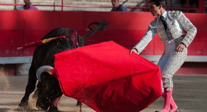 IECM “ve complicado” realizar consulta sobre prohibición de las corridas de toros