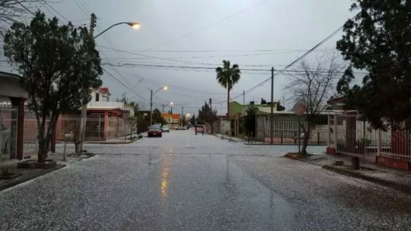 Clima Chihuahua: se mantiene pronóstico de caída de nieve por Tormenta Invernal