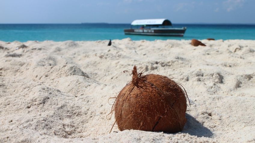 ¿Cómo está el clima en Acapulco? Un coco te da el estado del tiempo: VIDEO VIRAL