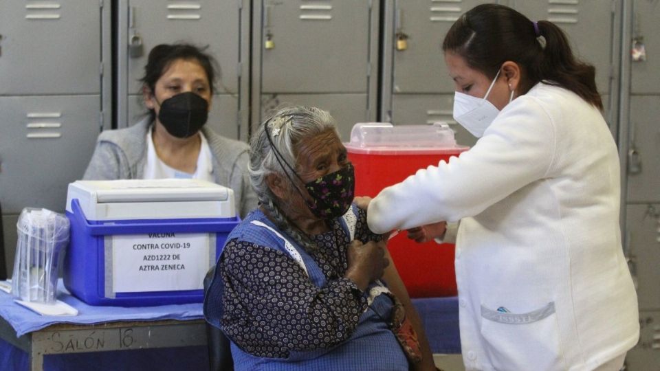 Este número que les estoy dando es lo que está en el registro electoral del número de adultos mayores en cada una de estas alcaldías Foto: Cuartoscuro