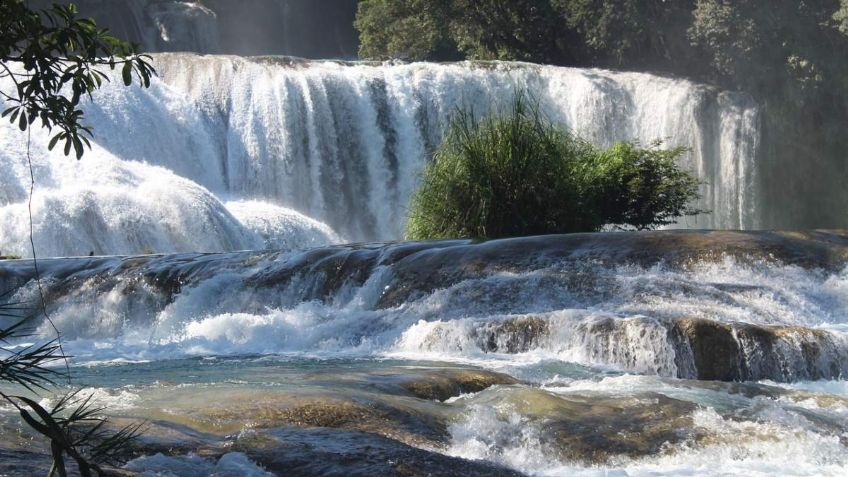 ¿Las mejores cascadas de México están en Chiapas?