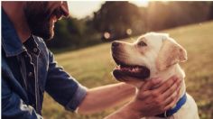 ¿Le hablas como bebé a tu perro? Lo estás haciendo bien, asegura estudio