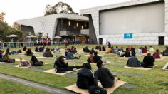 Regresa la Cineteca Nacional con medidas sanitarias contra Covid-19