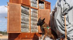 Yucatán: intentan transportar media tonelada de droga en roperos