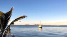 Conoce la Bahía de Magdalena en Baja California Sur