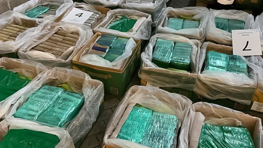 Policía encuentra toneladas de cocaína oculta entre plátanos