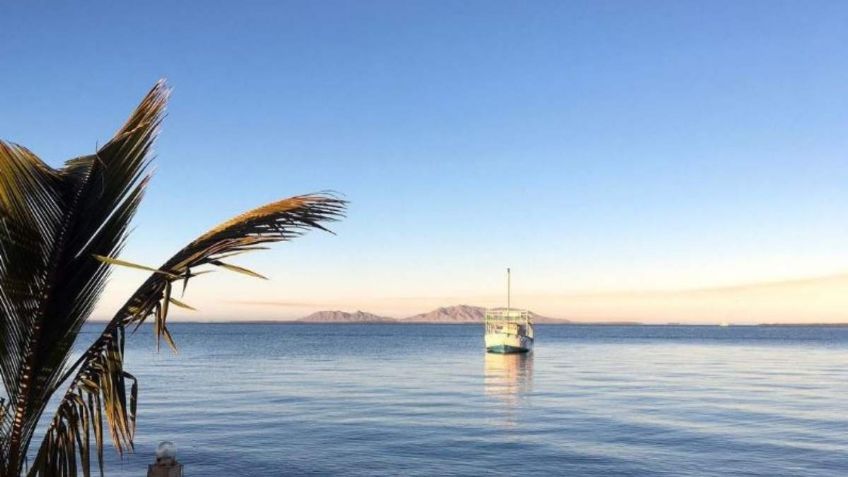 Conoce la Bahía de Magdalena en Baja California Sur