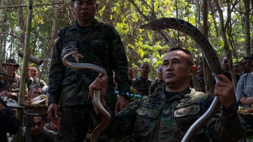 ¿Qué es "Cobra Gold"? El ejercicio militar con SANGRE ANIMAL que podría provocar una peligrosa PANDEMIA