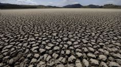 Este es el gran lago mexicano que puede desaparecer por la severa sequía