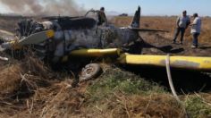 Una avioneta se incendia tras desplomarse en Sinaloa