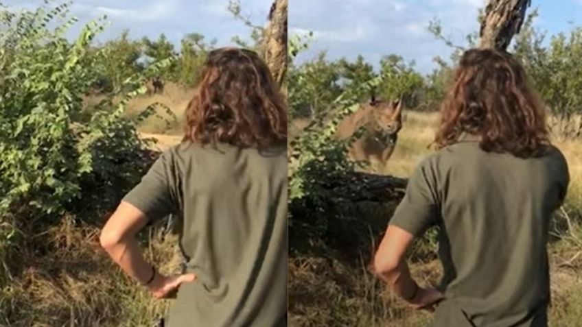 VIDEO VIRAL: ¡Impresionante! Joven logra calmar con su voz a rinoceronte que estaba a punto de atacar