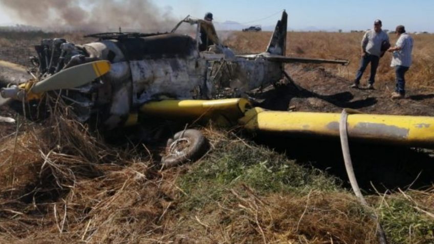 Una avioneta se incendia tras desplomarse en Sinaloa