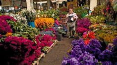 Mercado de Jamaica un lugar obligado para visitar en la CDMX