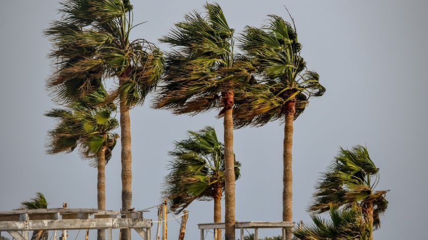 ¿Qué son los Vientos de Santa Ana y por qué dejan un CALOR INFERNAL? Activan ALERTA en LA