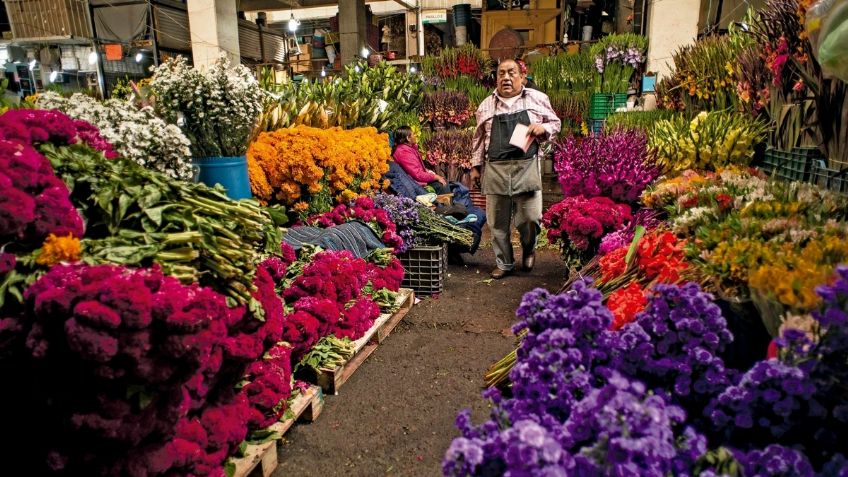 Mercado de Jamaica un lugar obligado para visitar en la CDMX