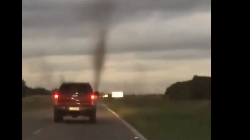 VIDEO VIRAL: ¡Animales atacan! Tornado de mosquitos invaden una carretera en Argentina