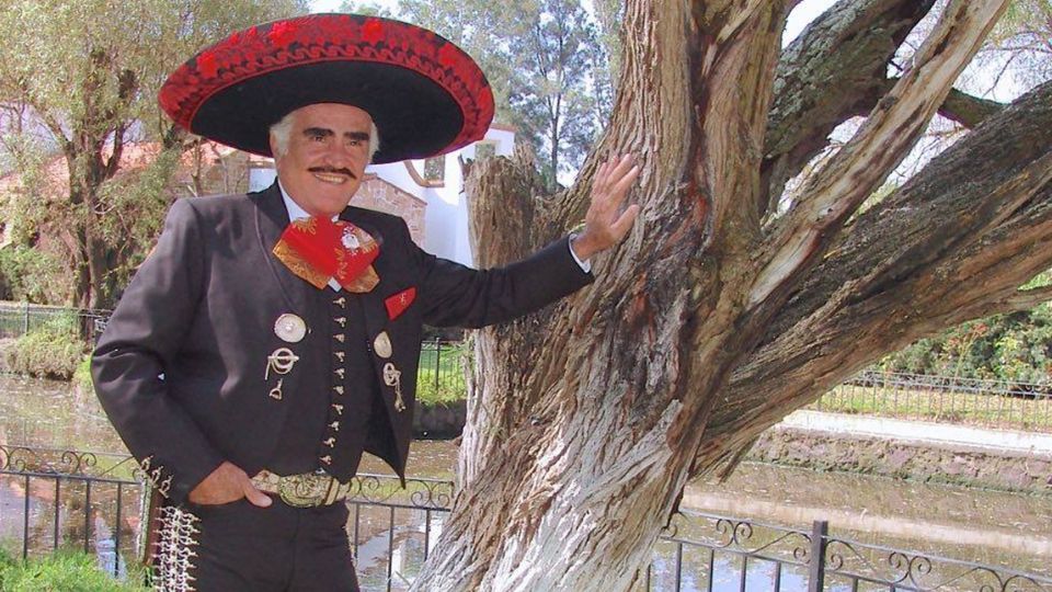 Vicente Fernández Oficial