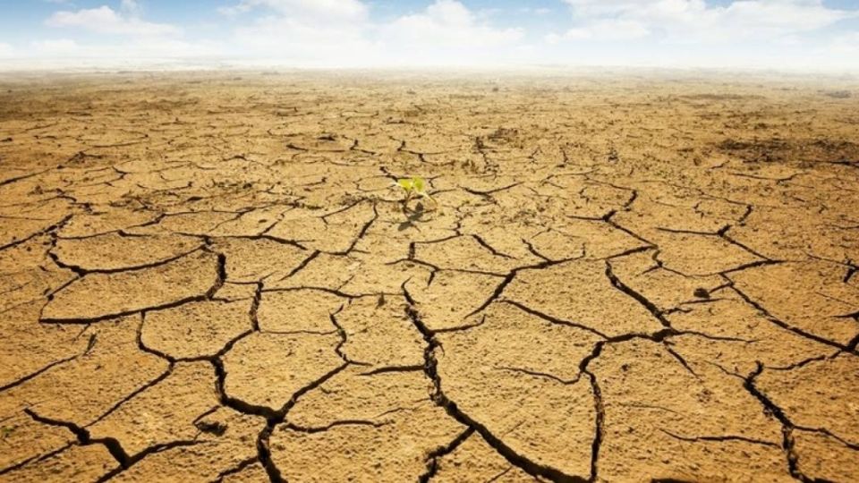 la crisis hídrica se traduce en una escasez de agua que impacta gravemente la salud pública.