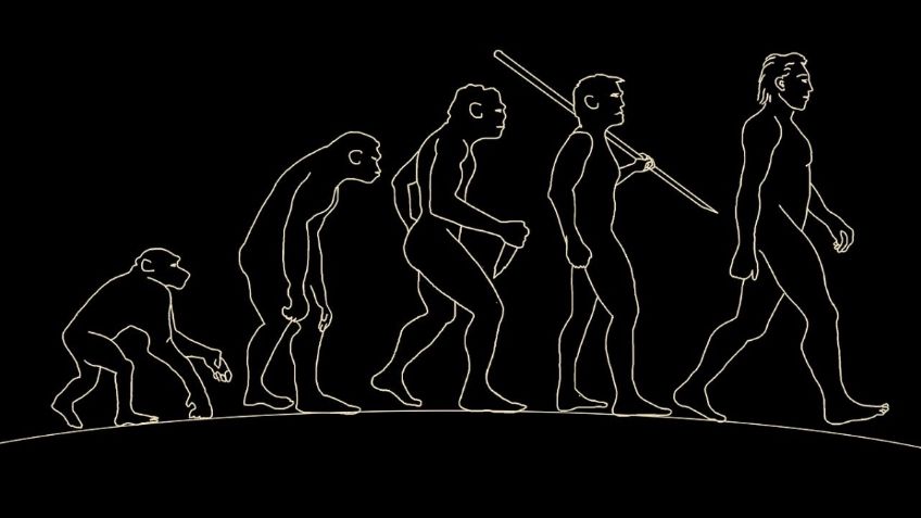 Evolución humana: Éste estudio revela nuevos datos y tienen que ver con ¡nuestro brazo!