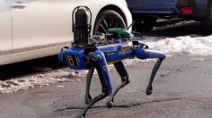 Perro robot es el nuevo policía encargado de patrullar las calles más peligrosas de Nueva York